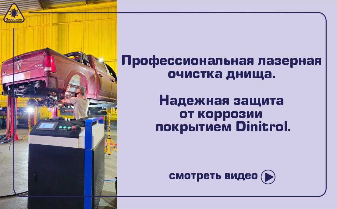 Антикор